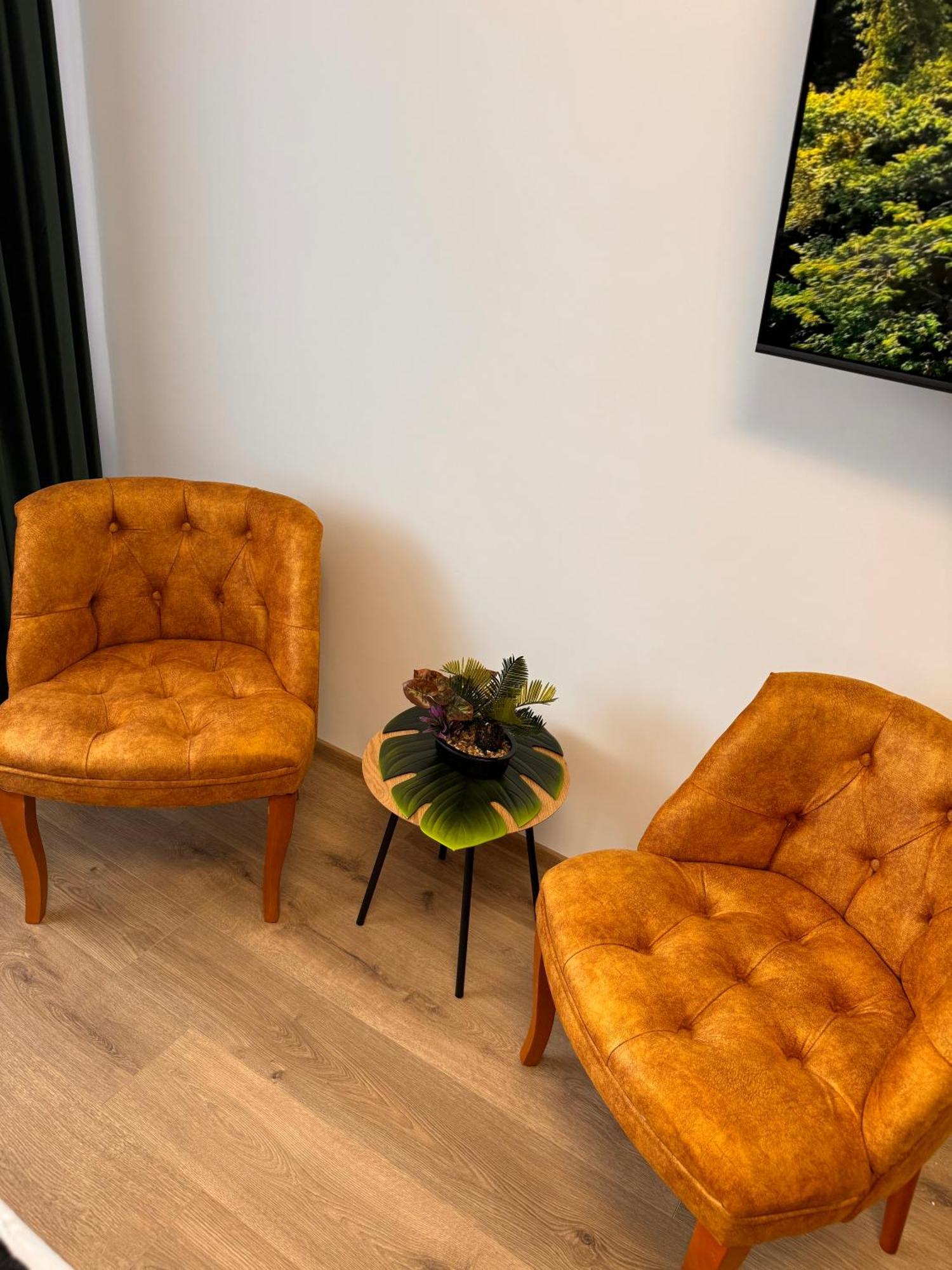 Apartmán Jungle Loft Sučava Exteriér fotografie
